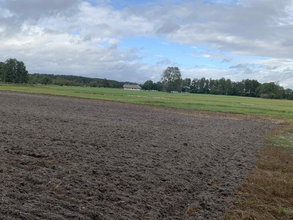 Działka rolna Kruszyn. Zdjęcie 3