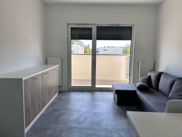 Mieszkanie 2-pokojowe Plewiska. Zdjęcie 1