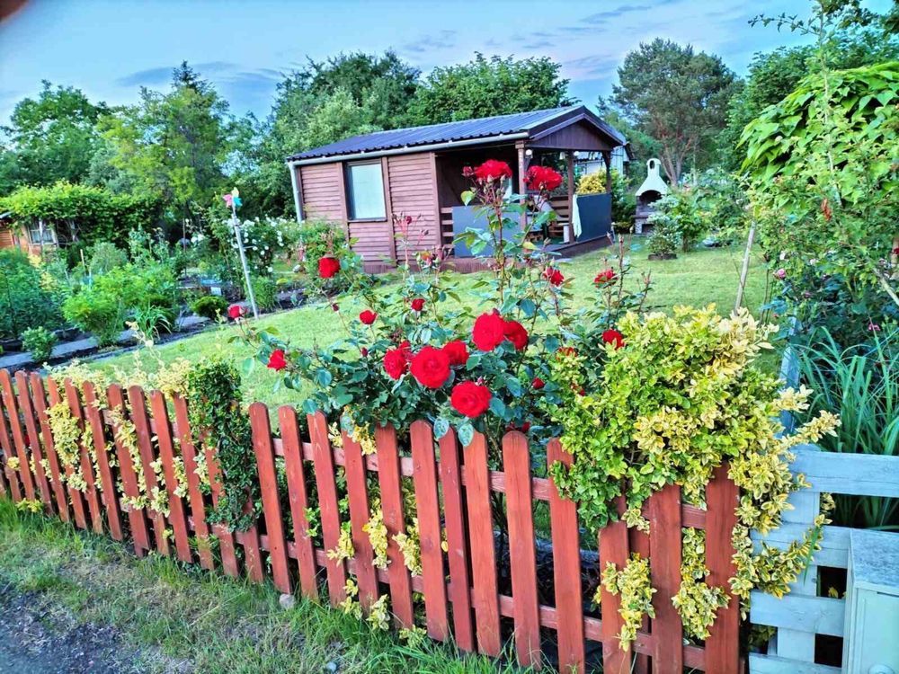 Działka rod Wrocław, ul. Konduktorska. Zdjęcie 1