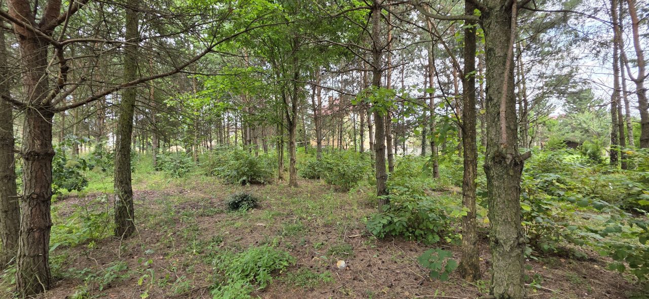 Działka budowlana Zawiercie Wydra Zielona, ul. Winna. Zdjęcie 31