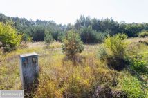 Działka budowlana Rosnówko. Zdjęcie 3