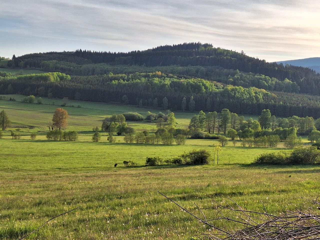 Działka rolno-budowlana Stara Białka. Zdjęcie 4