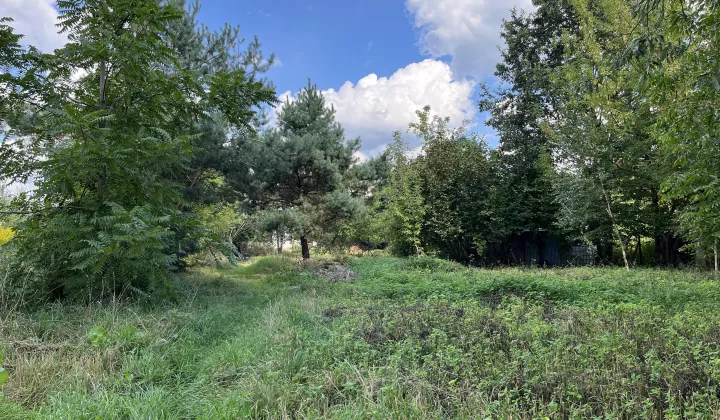 Działka budowlana Zaborów, ul. Środkowa