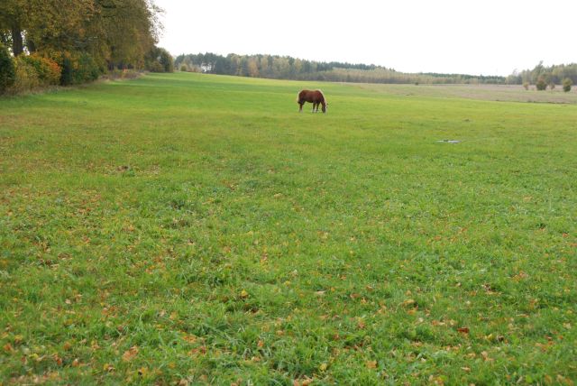 Działka budowlana Módłki. Zdjęcie 8