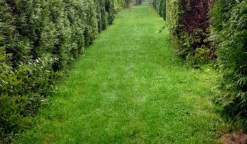 Działka rod Brzezie, ul. Działkowa