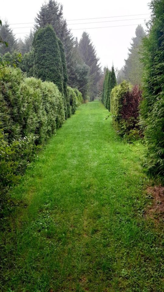 Działka rod Brzezie, ul. Działkowa. Zdjęcie 2