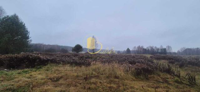 Działka budowlana Grzybowce. Zdjęcie 5