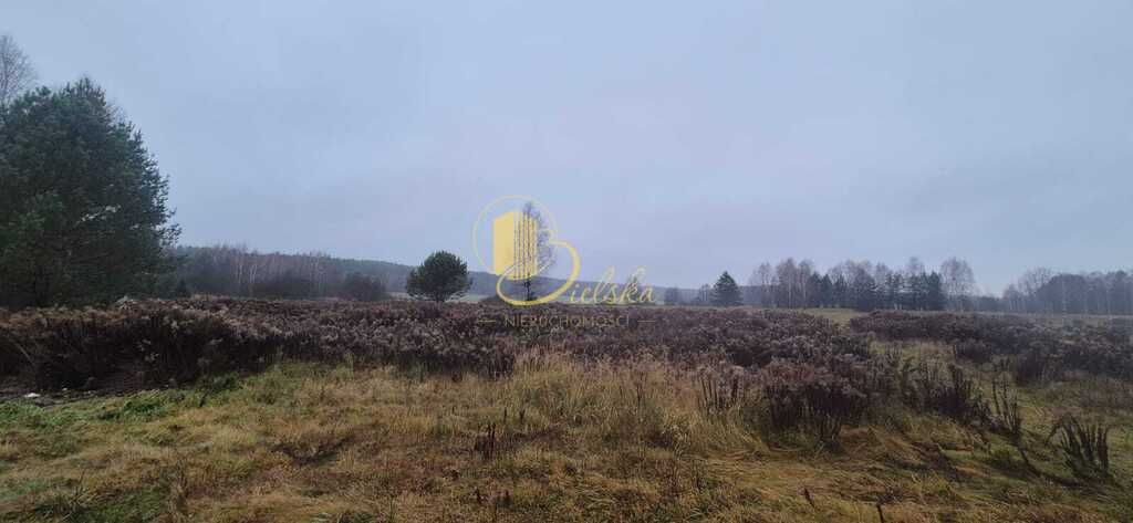 Działka budowlana Grzybowce. Zdjęcie 5