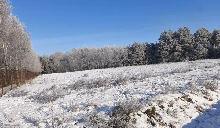 Działka budowlana Witowąż