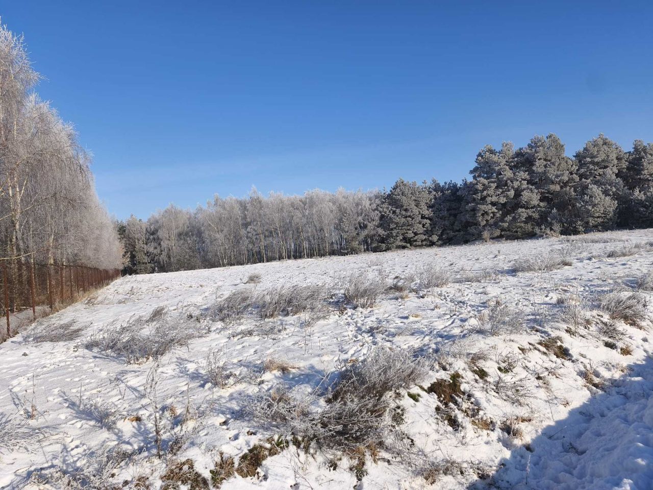 Działka budowlana Witowąż