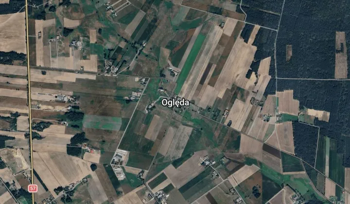 Działka leśna Oględa