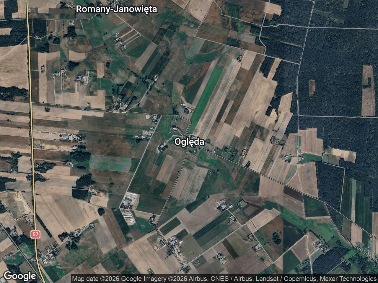 Działka leśna Oględa. Zdjęcie 1