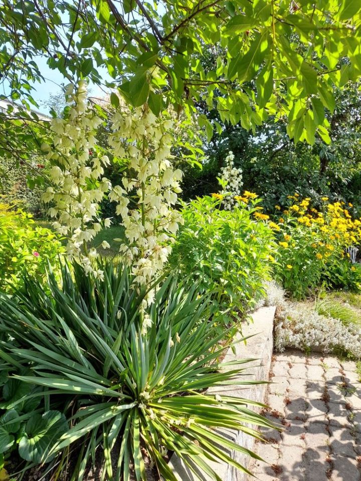 Działka rod Ostróda, ul. Wojciecha Kętrzyńskiego. Zdjęcie 7