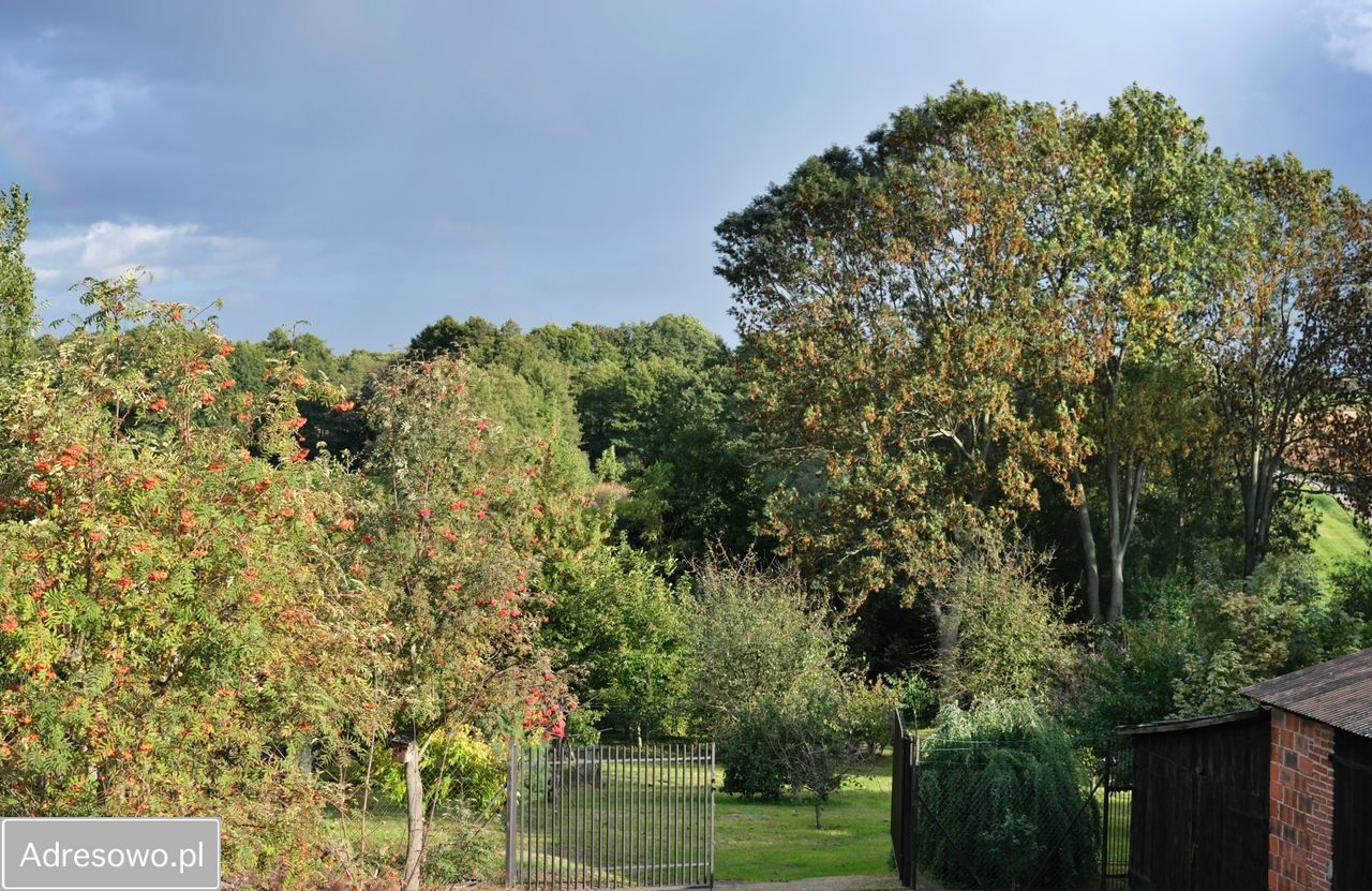 siedlisko, 4 pokoje Długie Parcele. Zdjęcie 10