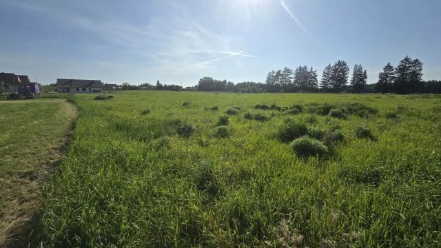 Działka budowlana Zwierzewo. Zdjęcie 1