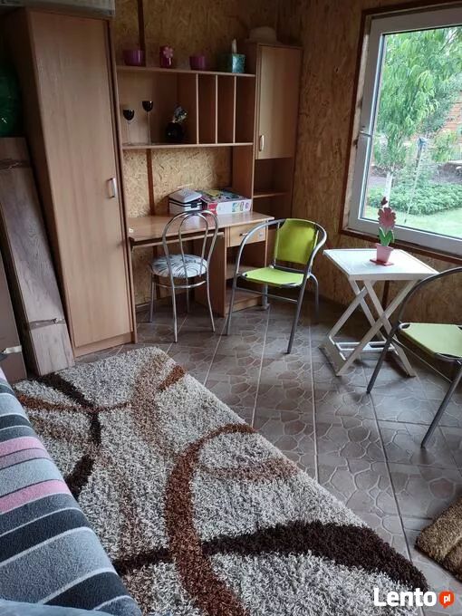 Działka rod Olsztyn. Zdjęcie 10