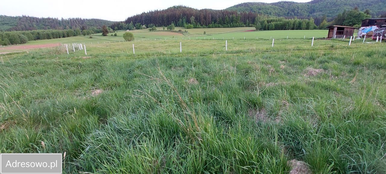 Działka budowlana Wambierzyce Górne Wambierzyce, ul. Wiejska. Zdjęcie 9