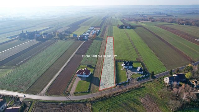 Działka budowlana Celiny, ul. Widokowa. Zdjęcie 7