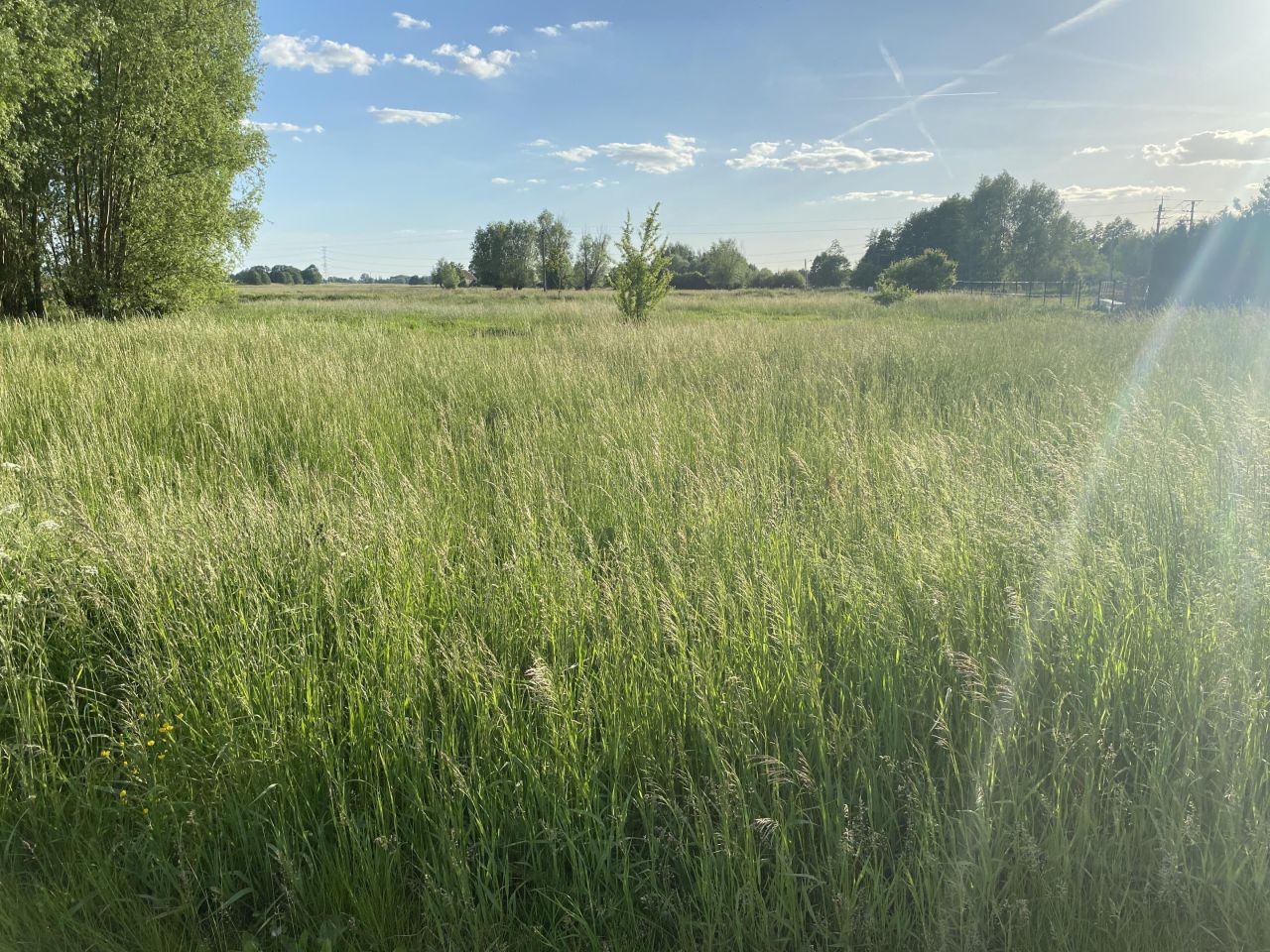 Działka budowlana Wieprzyce. Zdjęcie 12