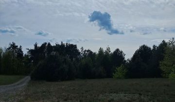 Działka rolna Dąbrowa Kozłowska
