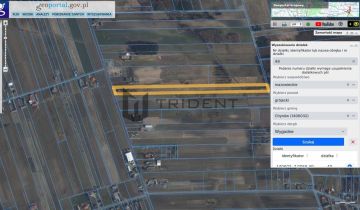 Działka rolna Wygodne