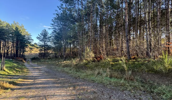 Działka budowlana Dębnica Kaszubska, os. Nad Skotawą