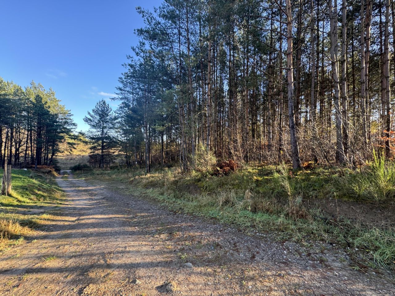 Działka budowlana Dębnica Kaszubska, os. Nad Skotawą. Zdjęcie 1
