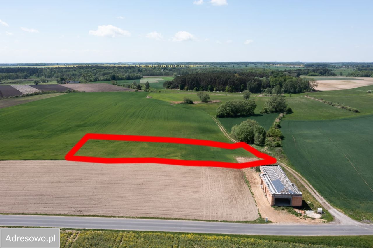 Działka rolna Zielątkowo. Zdjęcie 7
