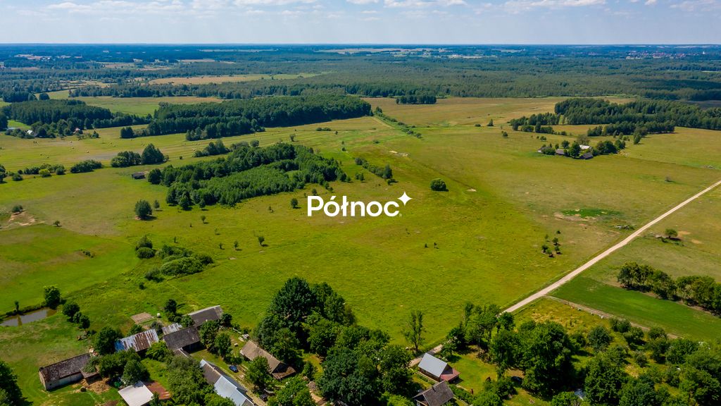 Działka rolna Mieleszki-Kolonia. Zdjęcie 6