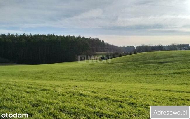 Działka budowlana Gaj-Grzmięca. Zdjęcie 10