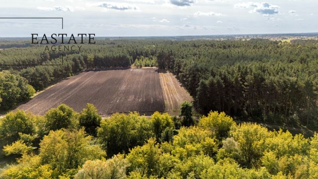 Działka leśna Maurzyce. Zdjęcie 4