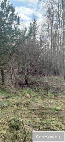 Działka budowlana Stary Sławacinek. Zdjęcie 1