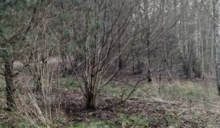 Działka budowlana Stary Sławacinek