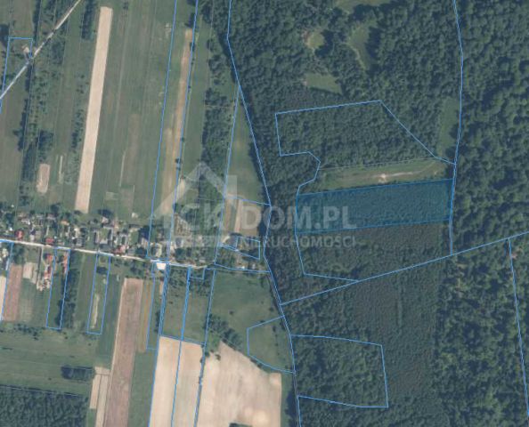 Działka rolna Cisów. Zdjęcie 4