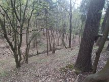 Działka leśna Lipnica Dolna, BRAK. Zdjęcie 2