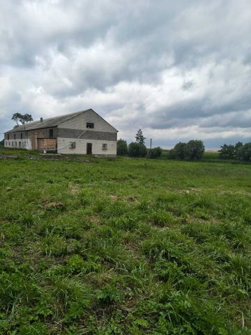 Działka rolno-budowlana Kiszkowo. Zdjęcie 1
