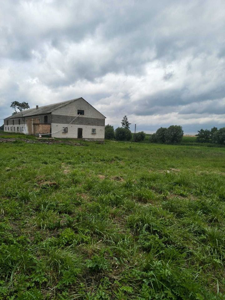 Działka rolno-budowlana Kiszkowo. Zdjęcie 1