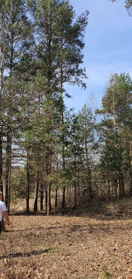 Działka budowlana Suków Podmarzysz. Zdjęcie 5