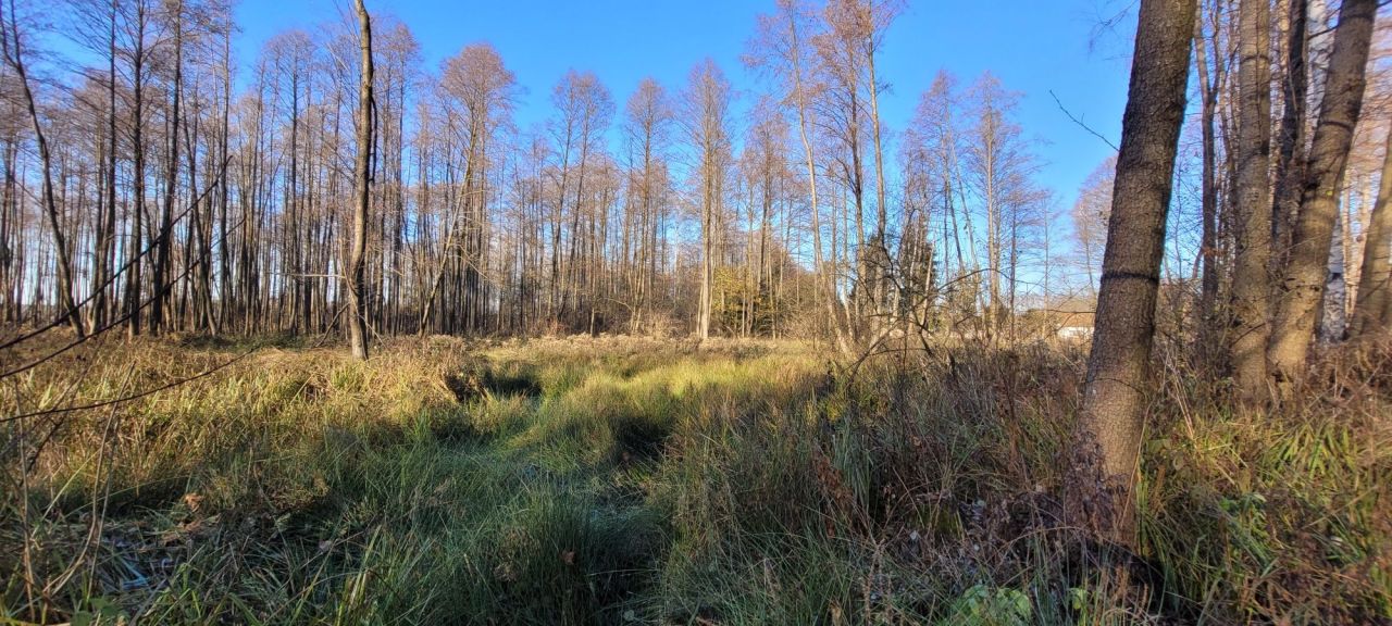 Działka budowlana Jarocin. Zdjęcie 7