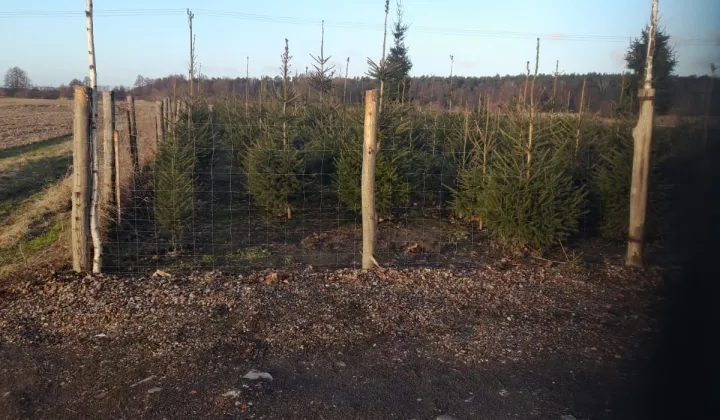 Działka rolna Kalisz, ul. Pokrzywnicka