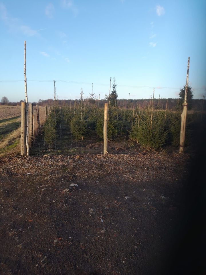 Działka rolna Kalisz, ul. Pokrzywnicka. Zdjęcie 1