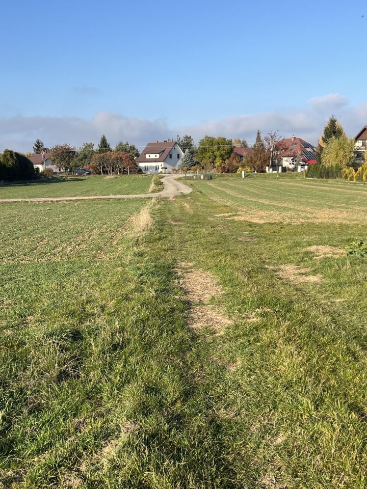 Działka rolno-budowlana Gołąb, ul. Powiśle. Zdjęcie 2