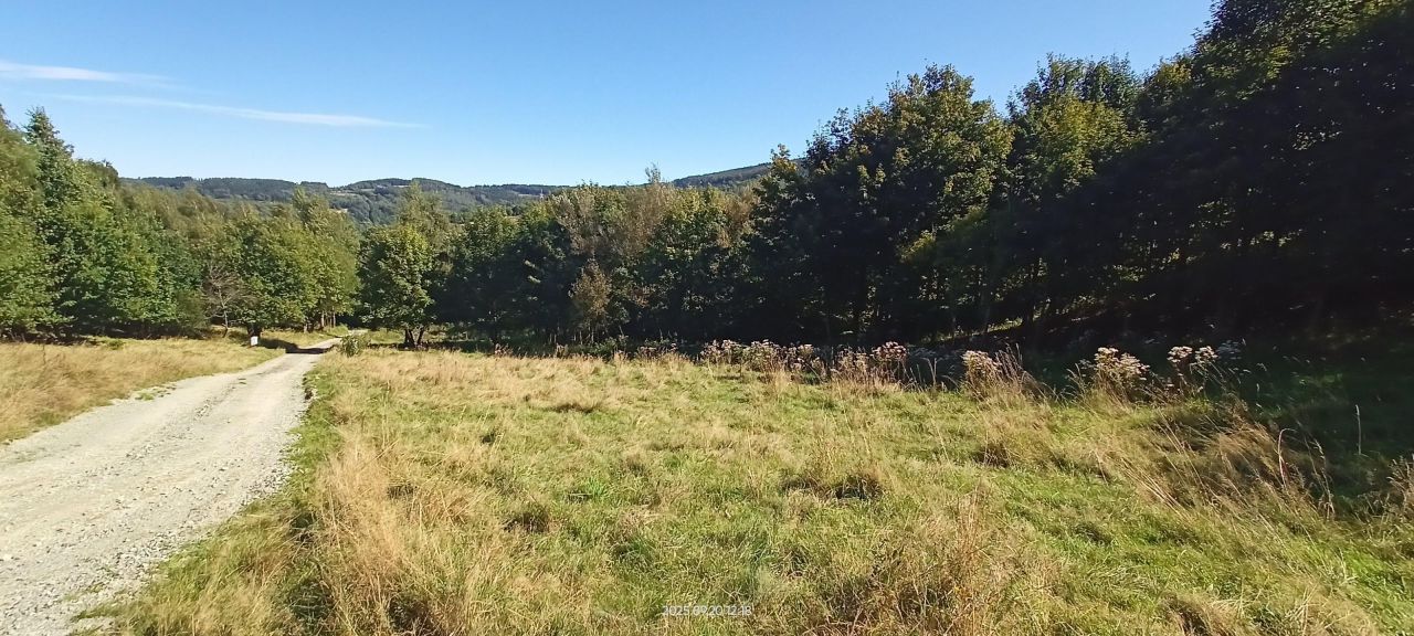 Działka budowlana Walim, ul. Królowej Jadwigi. Zdjęcie 5