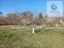 dom wolnostojący, 7 pokoi Żelkowo. Zdjęcie 4