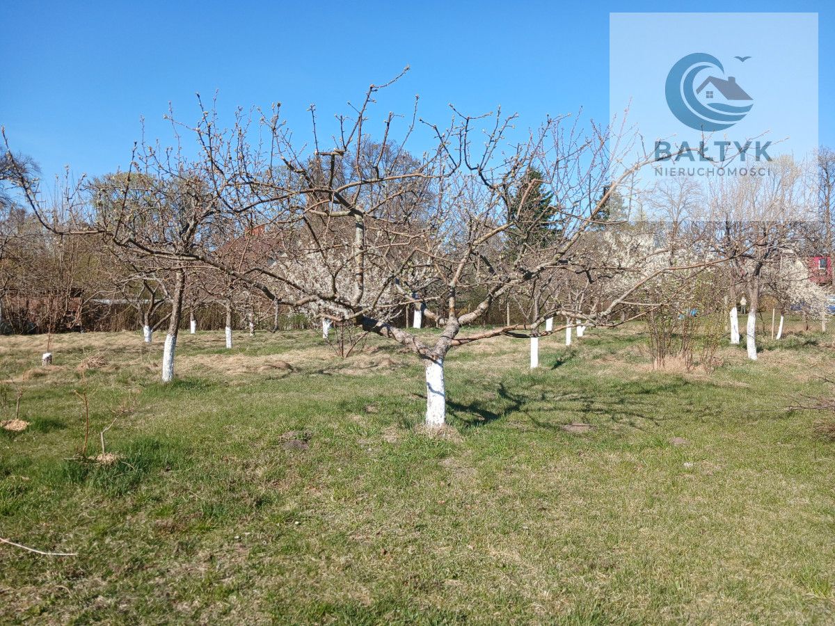 dom wolnostojący, 7 pokoi Żelkowo. Zdjęcie 6