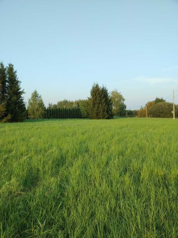 Działka budowlana Mrowla Otoka. Zdjęcie 1