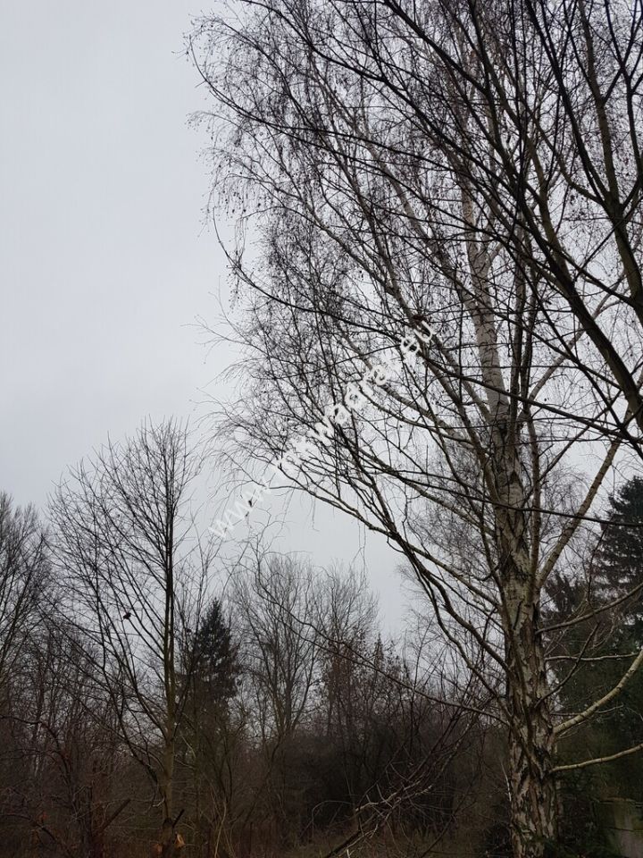 Działka budowlana Komorów. Zdjęcie 8