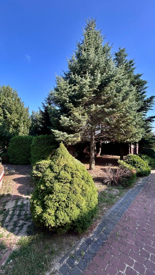 dom wolnostojący Leszno. Zdjęcie 7