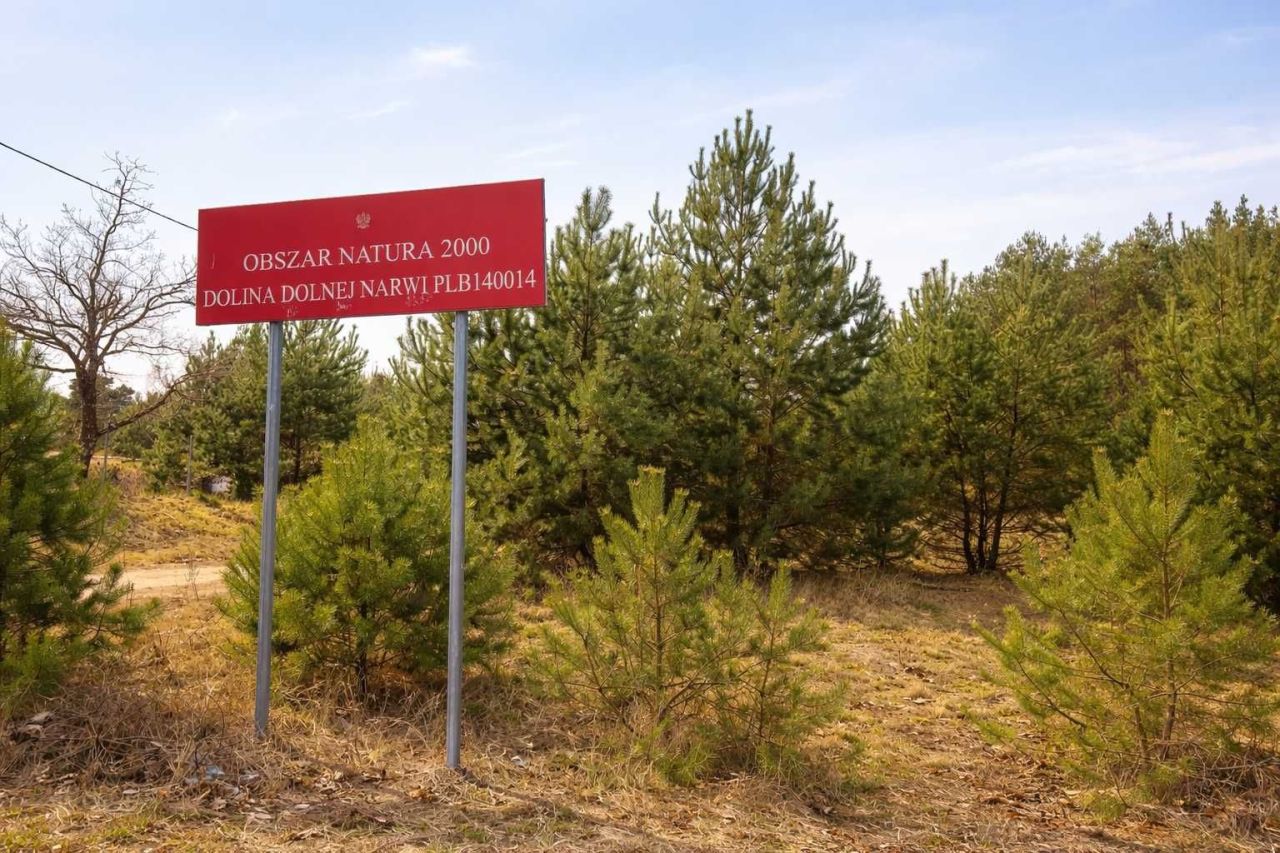 Działka rekreacyjna Szarłat. Zdjęcie 4