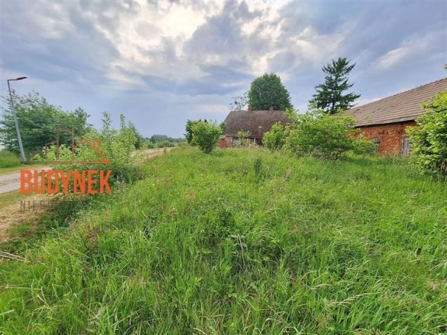 dom wolnostojący, 3 pokoje Kowalewiczki. Zdjęcie 15